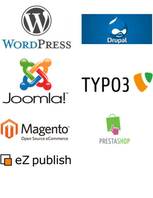 Paris agence web Evolution-net | E-commerce logiciel